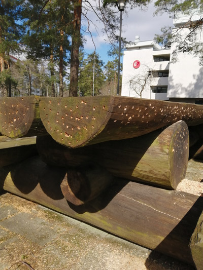 A Sculpture for Insects, Myllypuro, Helsinki, 2020