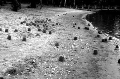 Forest Camp, Lusto, Finnish Forest Museum, Punkaharju, 1998