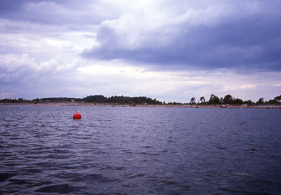 Forest Camp Mohni, 2003