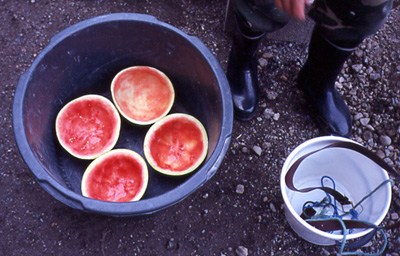 Walk of Fame, Haaste City Art Project, Tampere, 2003