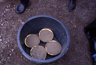 Walk of Fame, Haaste City Art Project, Tampere, 2003